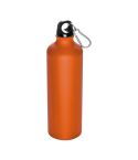Metalltrinkflasche mit Karabiner Brno 800 ml, EG0194