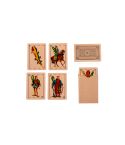 Spanish Playing Cards, OTK20980000000