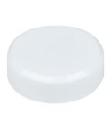 Magnet, White, MA9158806
