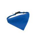 Rex, dogs collar, AP731481