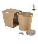 MerryGrow, Christmas tree growing kit, natural, AP757019