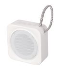 Speaker 5W, VB347