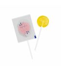 Fruit lollipop mini sugar free