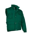 MIRACLE JACKE, EGCZVAMIR