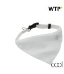 Rex, dogs collar, AP731481