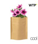 Ledan, set za sadnju cvijeća, beige, AP721479-00