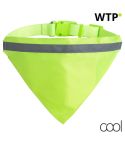 Lurex, reflective dogs collar, yellow, AP781925-02
