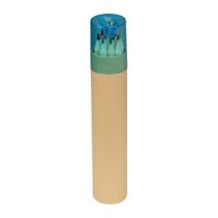 12 coloured pencils in a tube, Brown, MA1182401