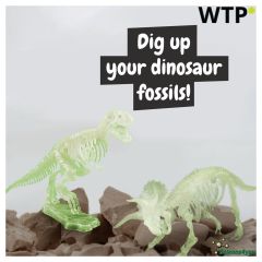 2 in 1 Fossil Excavation Kit I, Educational game for children, mixed, 35823-100