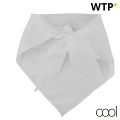 Capra, scarf, AP761999