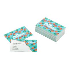 Visicard, personalizirane vizitke, bijela, AP716761