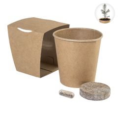 MerryGrow, komplet za gojenje božičnega drevesa, naravna, AP757019
