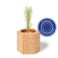 Cork lonac, sjemenke bora, mješoviti, V0915-00