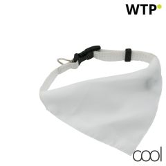 Rex, dogs collar, AP731481