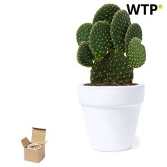 Flowerpot, OTK11931000000
