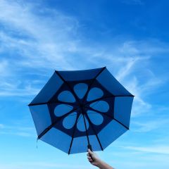 Umbrella Debbie, 4089