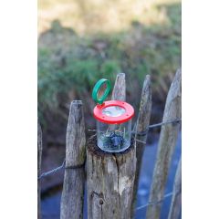Barattolo ingrandente Sunlit, verde chiaro, 1454842-029999999
