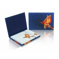 Set of self-adhesive notes in hard cover WTP132