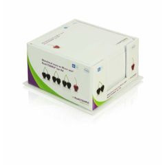 Block of slips in box WTP149