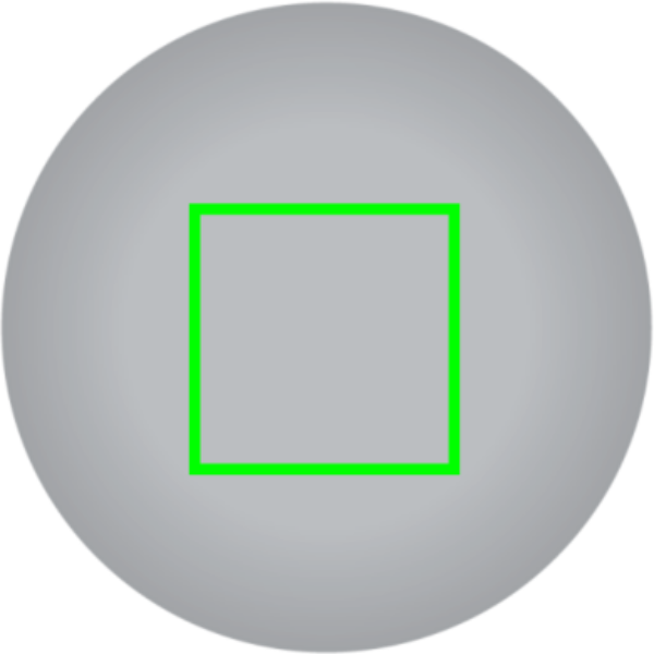 lid