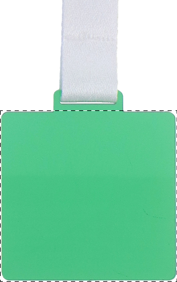 Medal - front