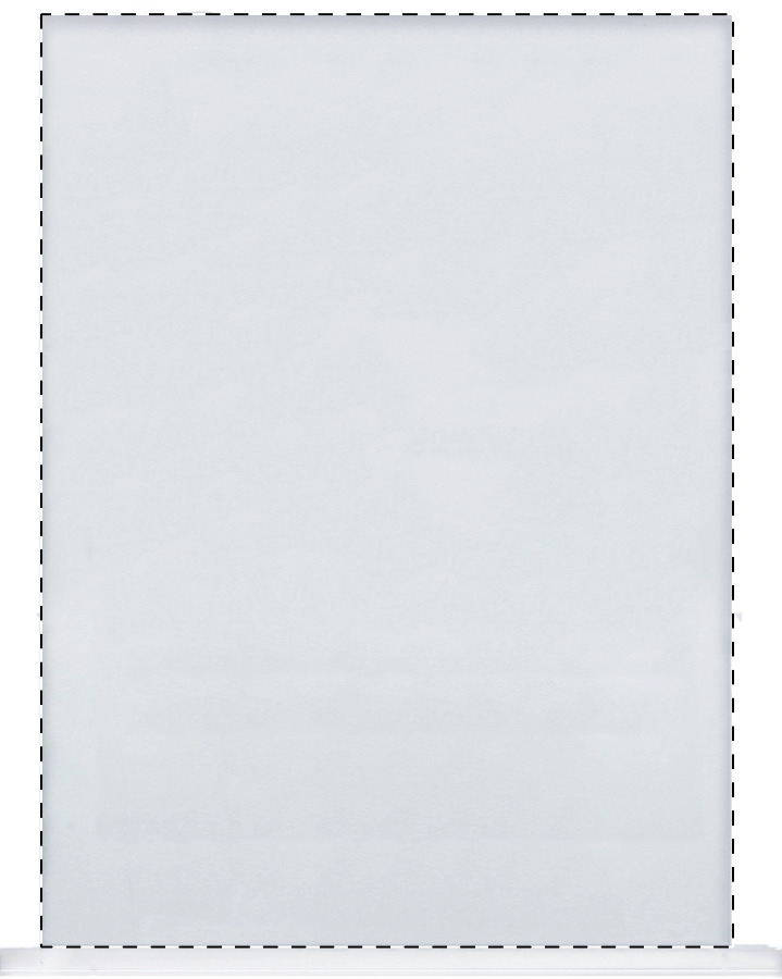 Whole surface