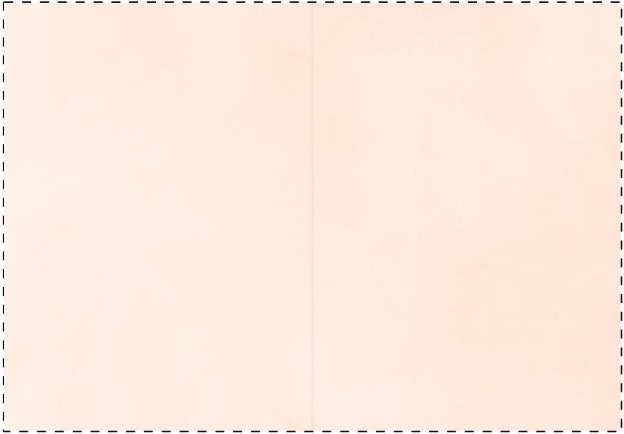 Outer cover