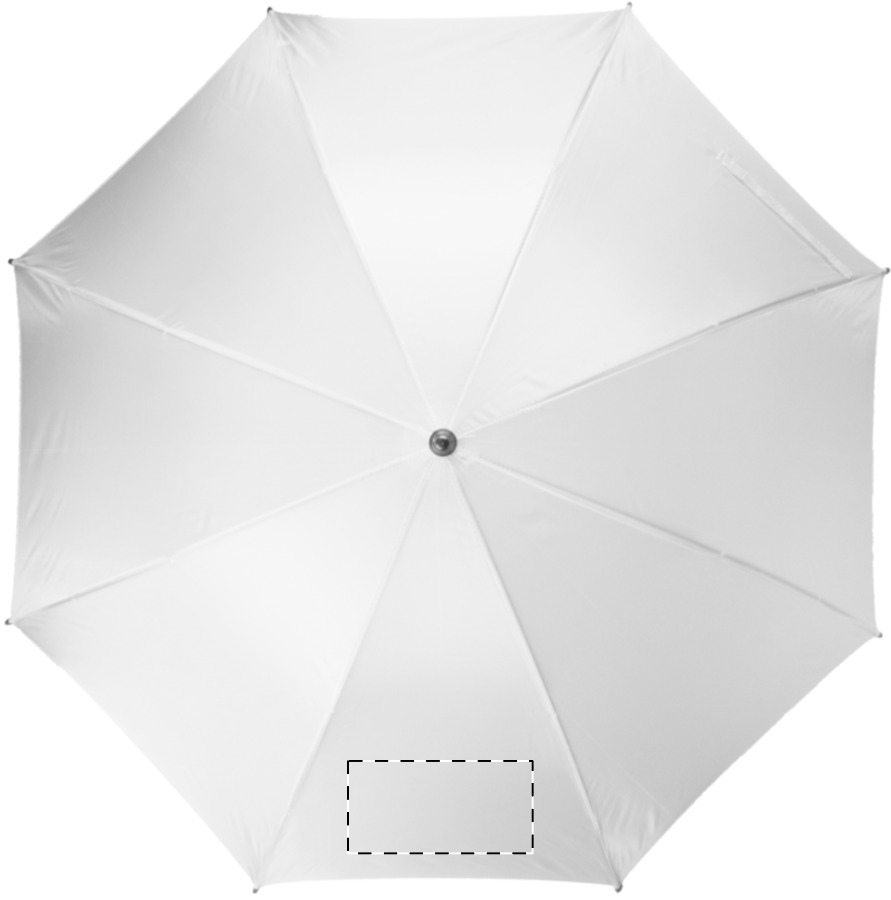 Pannello 6