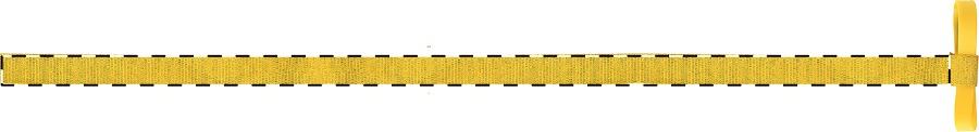 Right ribbon - front side