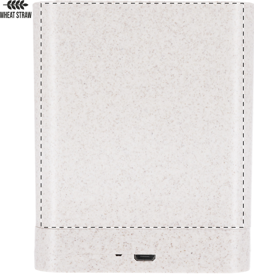 Back side