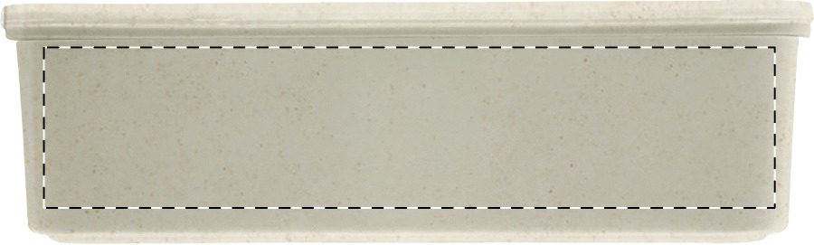 Back side