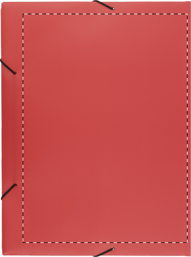 Back side