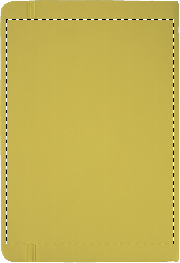 Lato posteriore