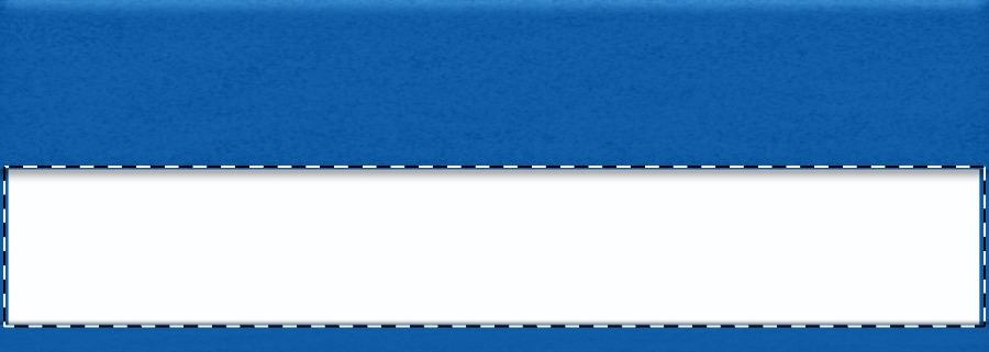 Paper insert