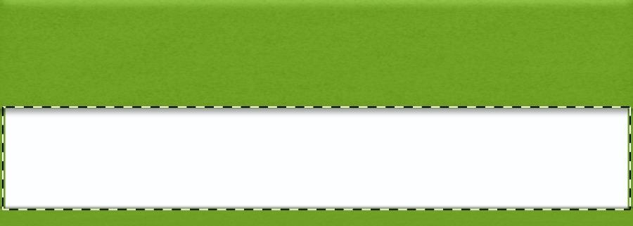 Paper insert