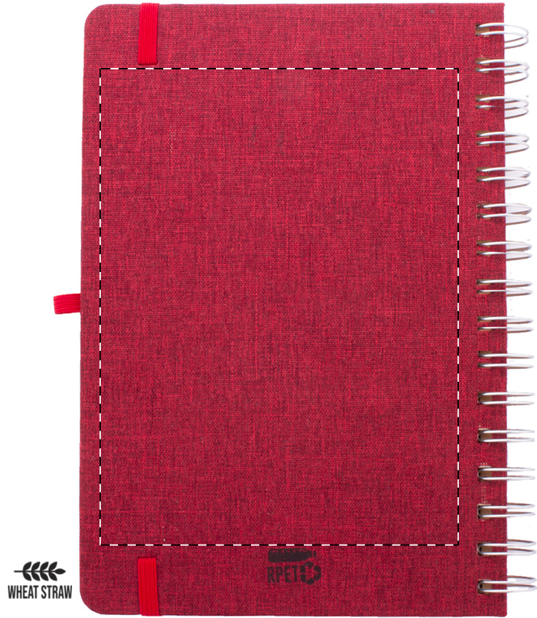 Back side