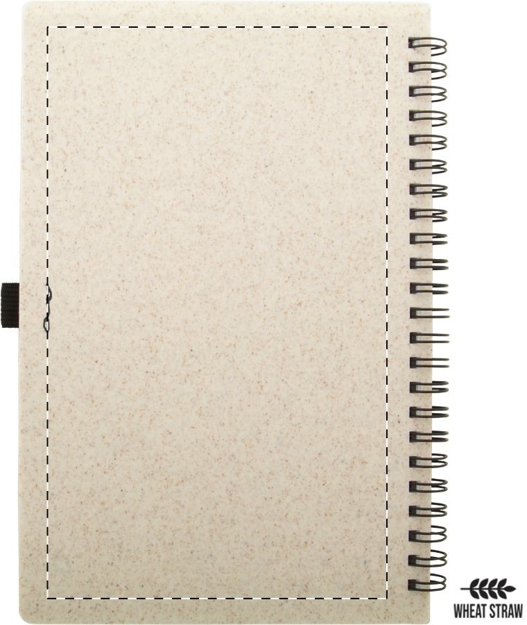 Back side