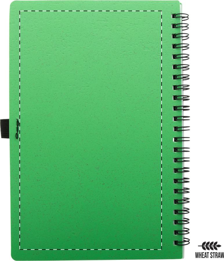 Back side