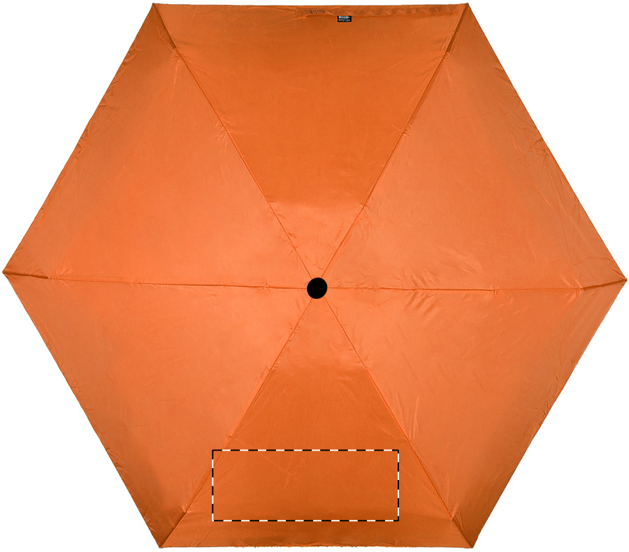 Panel 4