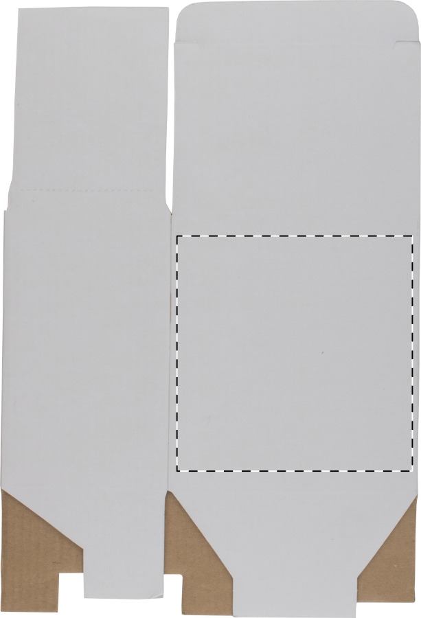 Back side