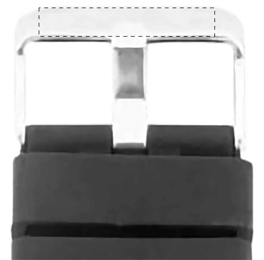 Buckle