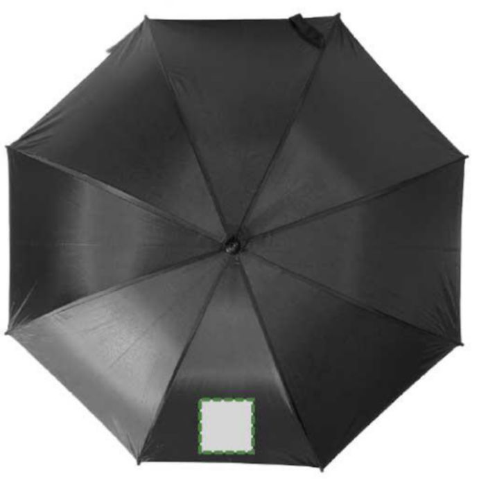 Pannello 1