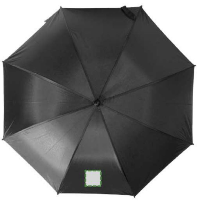 Pannello 1