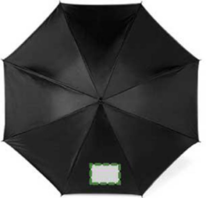 Pannello 1