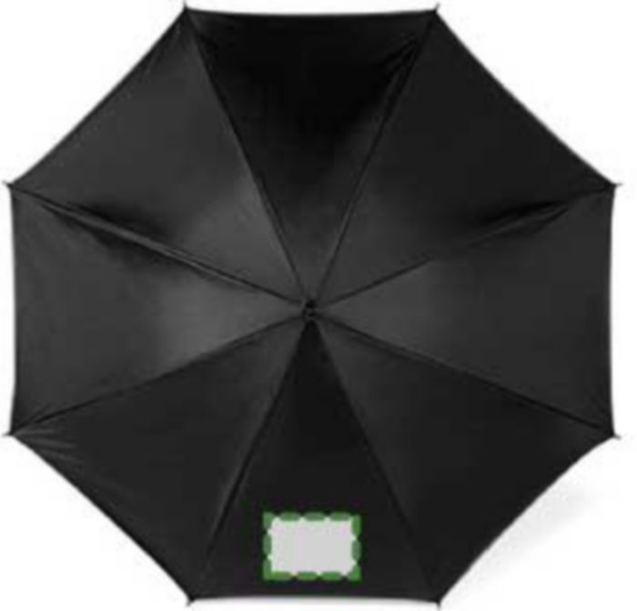 Pannello 1