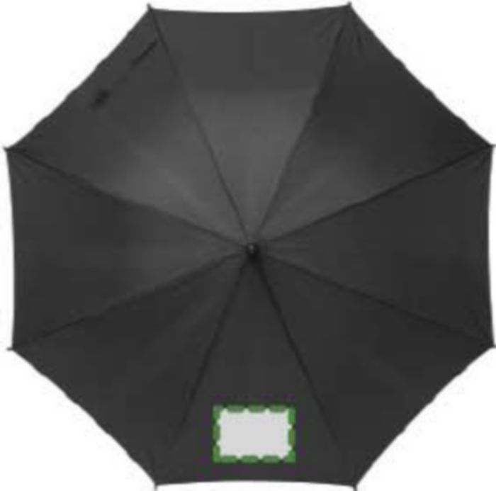 Pannello 1