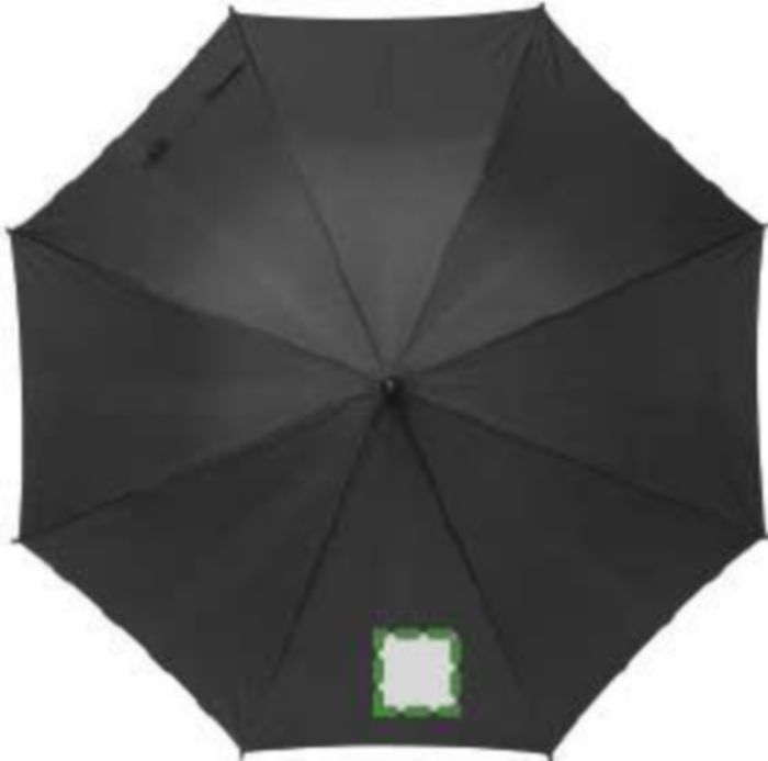 Pannello 1