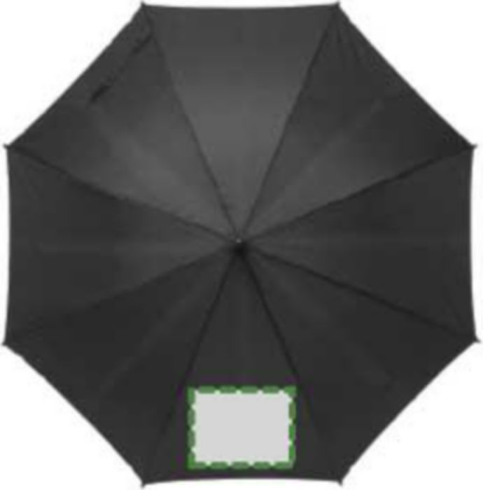Pannello 1