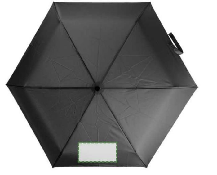 Pannello 1