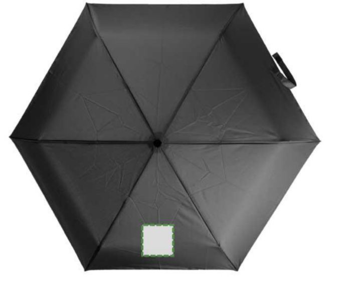 Pannello 1